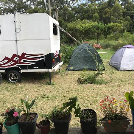 Camping Refugio Shakti II Florianópolis 외부 사진